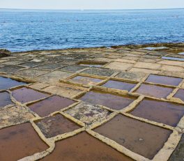 Marsascala Zonqor Point