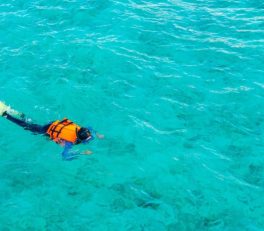 málta snorkeling
